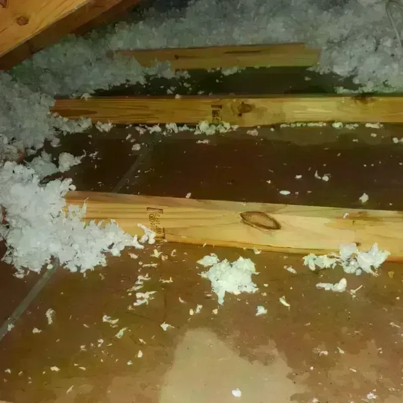 Attic Water Damage in Sandoval, IL