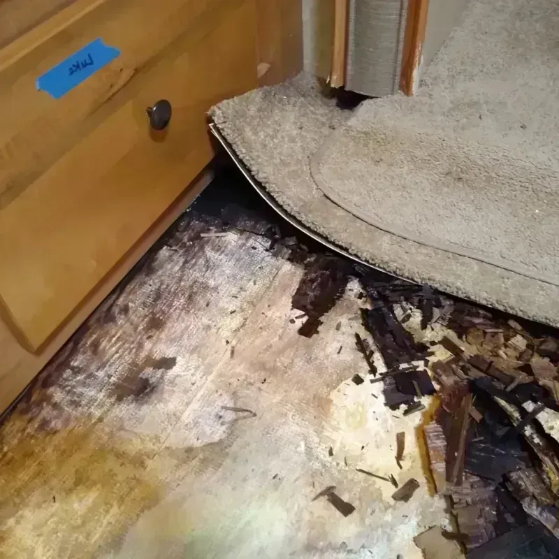 Wood Floor Water Damage in Sandoval, IL